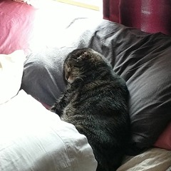 feel something guitar