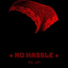 No Hassle (Stay In School Remix)