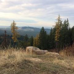 Untitled | made on the Rapchat app (prod. by LazkKingBeats)