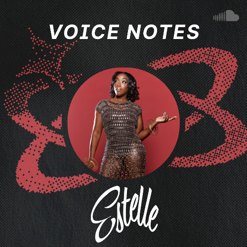 Voice Notes: Estelle on "Roses"