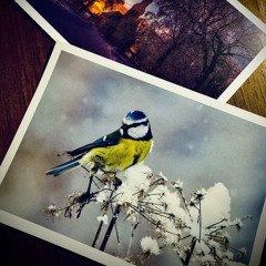 Loneliness (NARUTO SHIPPUDEN / OST) Piano Cover -