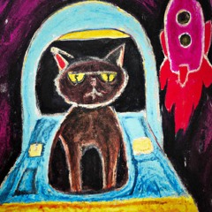 a space cat