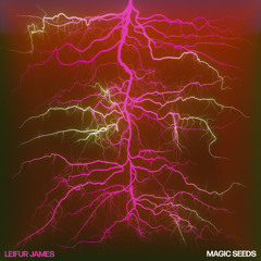 Leifur James - Magic Seeds