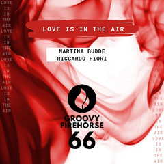 Love Is in the Air (Extended Mix)
