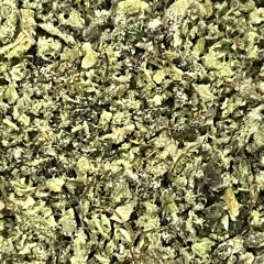 BRAND NEW - Tr1pt x TarXan