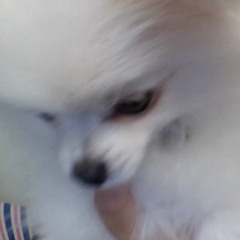 Dont Mess With Nina D