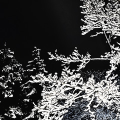 Cruel Summer (Churchill Downs Remix)