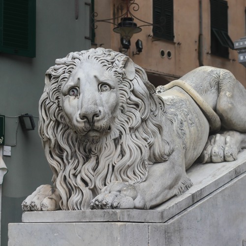 Anh co bao nhieu % (Tung cover)