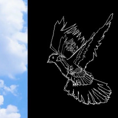 porter robinson : cherished music