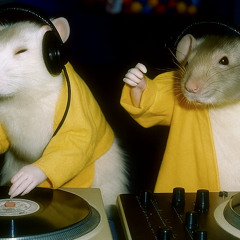 säuretritt || nœklearis b2b Gooze Bumps || Acid Hard Techno Mix