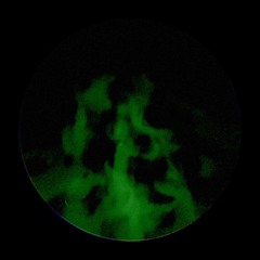 overreacting (p. yungkmadeit + plantjayr + whosbrando)