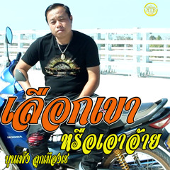 เลือกเขาหรือเอาอ้าย-เต็มเพลง
