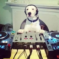 callum- Kanye can't tell me nothing mix