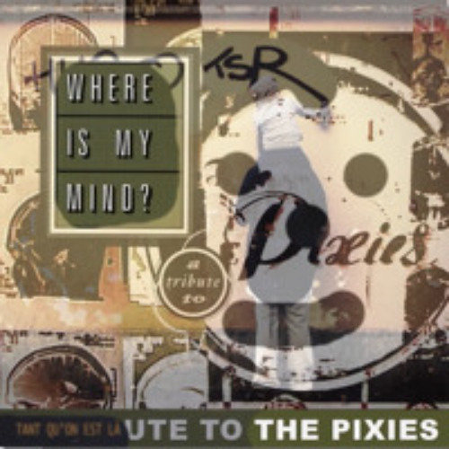 where is my HUGO TSR  (Pixies)