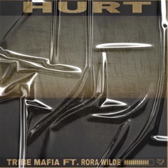 Hurt (It's a Tribe Ting The Album: Track 05)