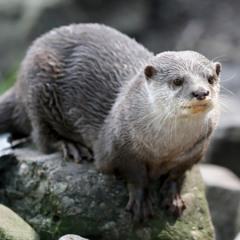 Jag undrar så mycket