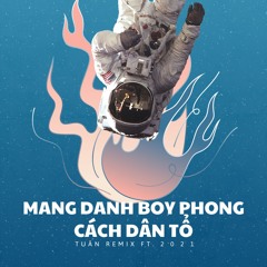 Mang Danh Boy Phố Phong Cách Dân Tổ (Remix)