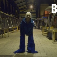 Nikolija - 2022 - Gringo