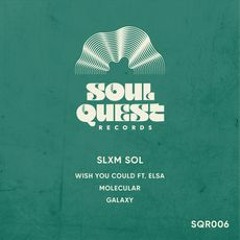 PREMIERE: Slxm Sol - Molecular [Soul Quest]