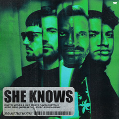 She Knows (Piero Pirupa Remix) [feat. Akon]