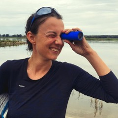 Release Stress and Activate Curiosity