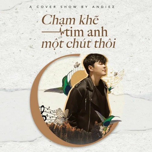 Chạm Khẽ Tim Anh Một Chút Thôi - Andiez Cover