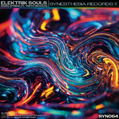 Elektrik Souls Feat. Trippz Michaud - State of Mind