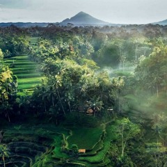 BALI ROOM #001 | B2B Sincerus*MGKFLO