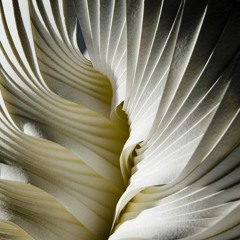 Spirale