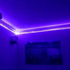 lite up a room p.critter