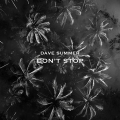 Dave Summer - Don't Stop