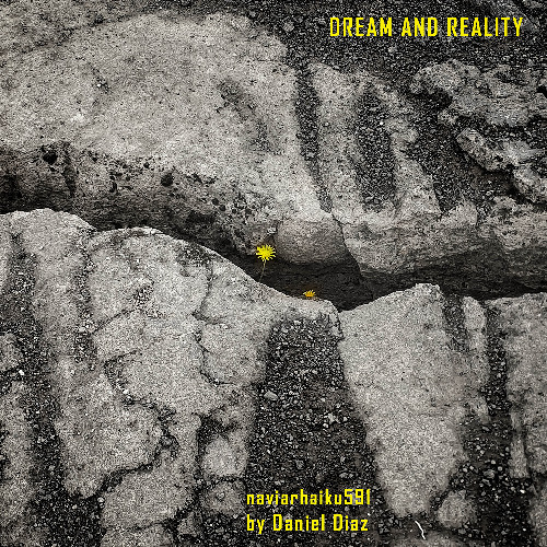 dream and reality (naviarhaiku591)