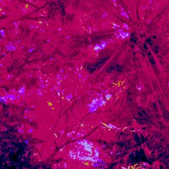 bullet (prod drma x itsshxde)