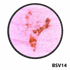 BSV14 - Resilient - Early Birds (Original Mix) -> SNIPPET