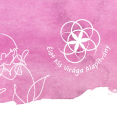 Élet Kisvirága Alapívány adventi gyűjtés, Zörgő Sára szakmai vezető - Manna Délelőtt Péter Petrával 2025. 12. 02.