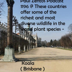 Paul Zentos Podcast 1196 @ These countries offer some of the richest and most diverse wildlife in the world plant species - Koala ( Brisbane ) 27 07 2025
