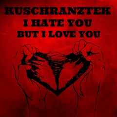 I Hate You, But I Love You (Original Mix)