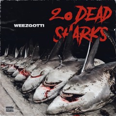20 Dead Sharks