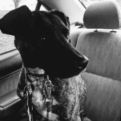 Perfect Day (Lou Reed Cover)