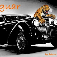 Jaguar By Arturo Once C2023