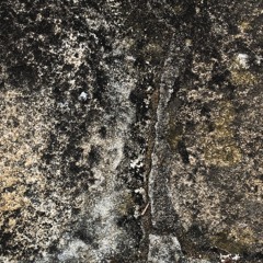 Just Funk Off [Remastered]