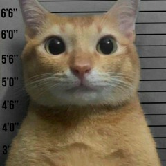 Diamond City Lights - Covered by 星川サラ | Sara Hoshikawa