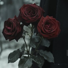 hermosa (Prod.Veedybeats)