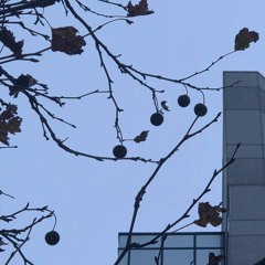 maybe i want her bad