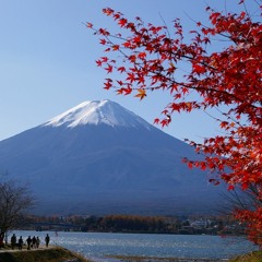 Eleventh - Fuji