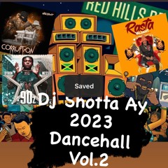 DJ Shotta Ay 2023 Reggae Mix Vol 2 Summer Wave