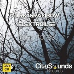 Dirk Grambow & Elektroilse  - deep forest