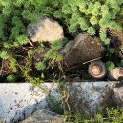 los sueños bajo tierra