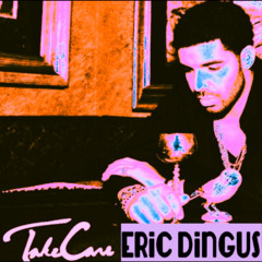 Drake - Shut It Down (Eric Dingus Remix)