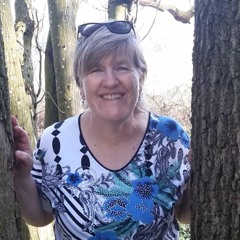 Kriminelle Ente - Tekk um den Baum